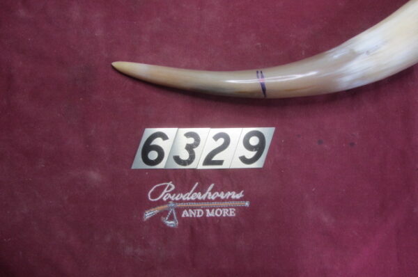 6329 Extra-Large Horn-Left