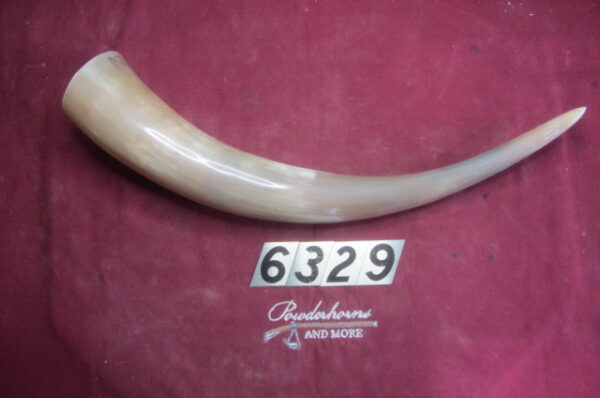 6329 Extra-Large Horn-Left