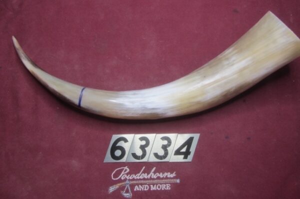 6334 Exra-Large Horn-Left