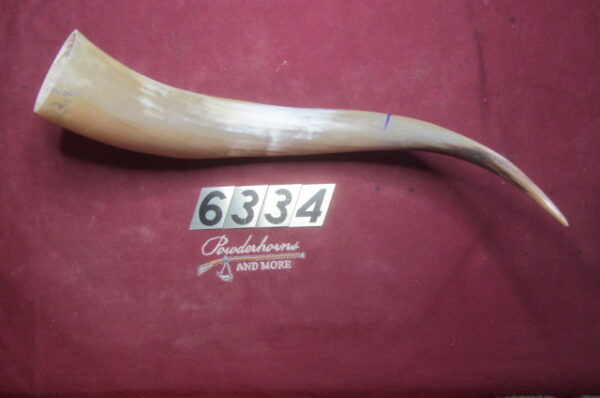 6334 Exra-Large Horn-Left