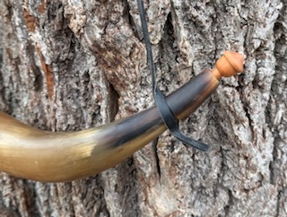 Militia Horn 1