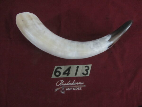 6413 Extra Large Horn- Left - Scrimshawable