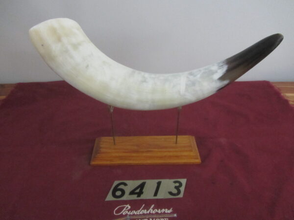 6413 Extra Large Horn- Left - Scrimshawable