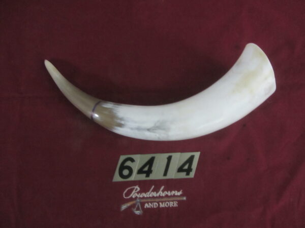 6414 Large Horn- Left - Scrimshawable