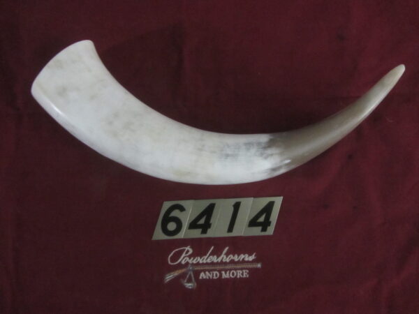 6414 Large Horn- Left - Scrimshawable