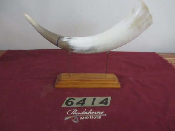 6414 Large Horn- Left - Scrimshawable