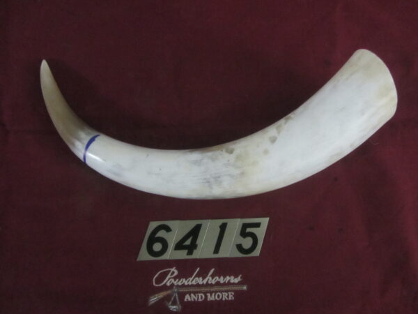 6415 Extra Large Horn- Left - Scrimshawable