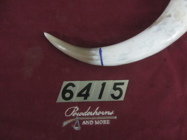 6415 Extra Large Horn- Left - Scrimshawable