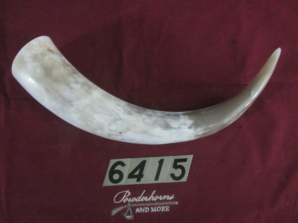 6415 Extra Large Horn- Left - Scrimshawable