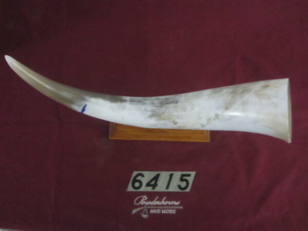 6415 Extra Large Horn- Left - Scrimshawable