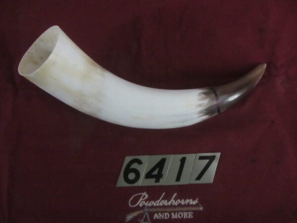 6417 Large Horn-Right-Scrimshawable