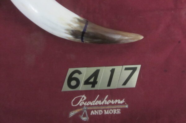 6417 Large Horn-Right-Scrimshawable