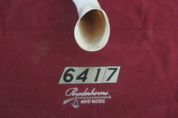 6417 Large Horn-Right-Scrimshawable