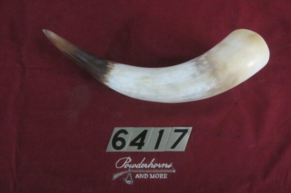 6417 Large Horn-Right-Scrimshawable