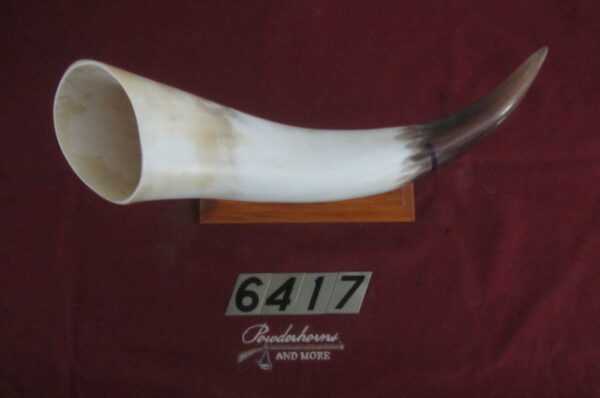 6417 Large Horn-Right-Scrimshawable