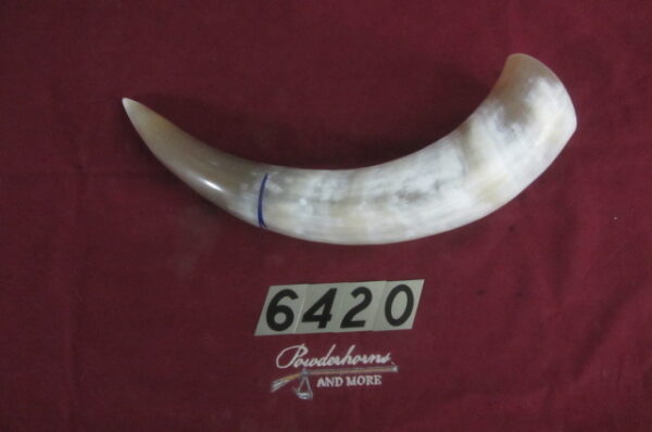 6420 Extra Large Horn-Left