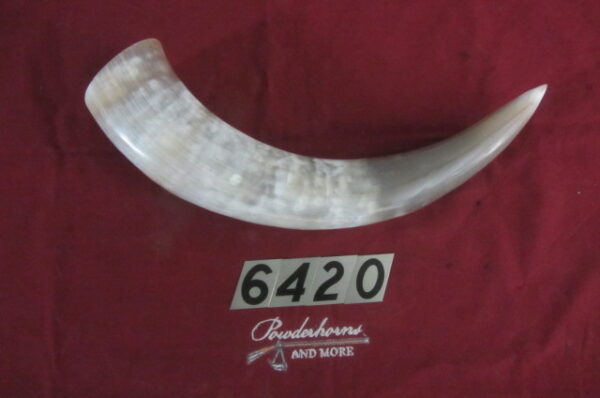 6420 Extra Large Horn-Left