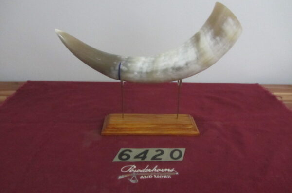 6420 Extra Large Horn-Left