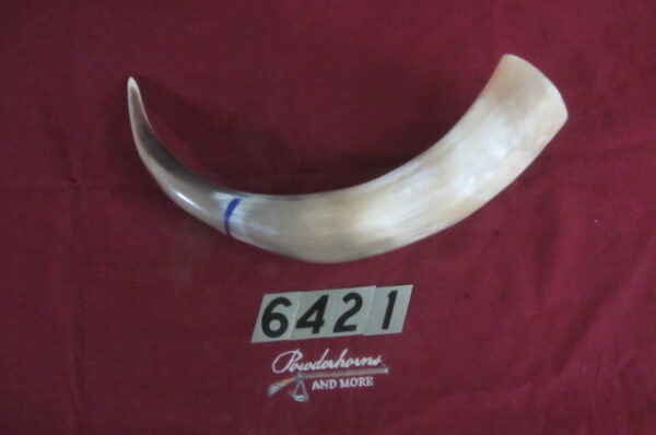 6421 Extra Large Horn-Left