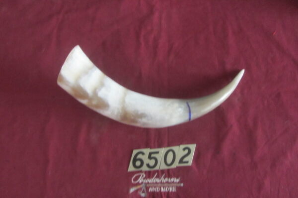 6502 Large Horn -Right