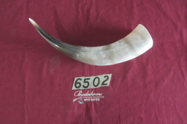 6502 Large Horn -Right