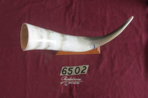 6502 Large Horn -Right