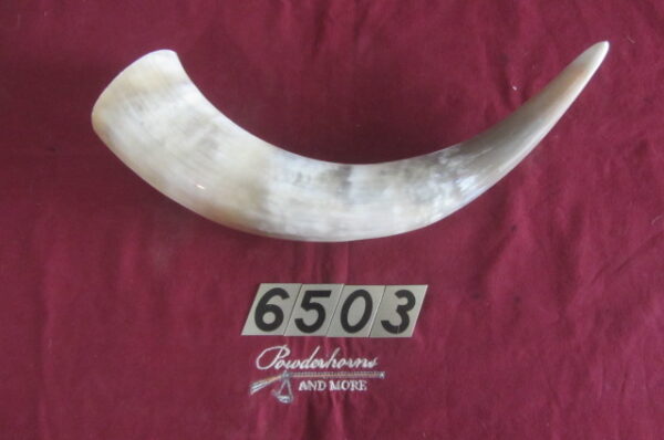 6503 Large Horn -Left