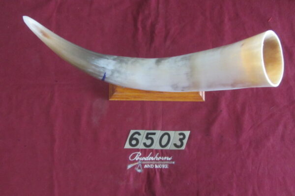 6503 Large Horn -Left