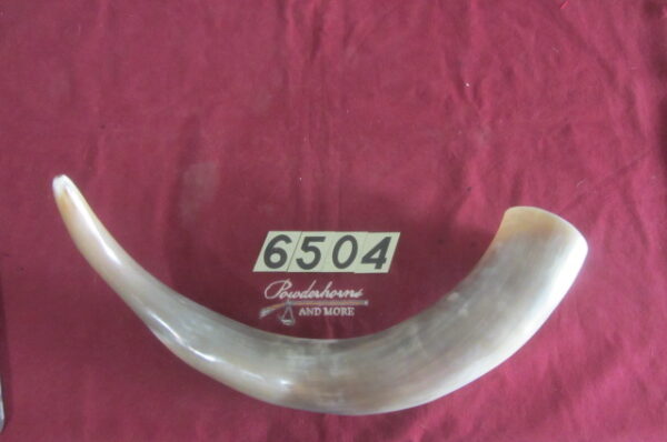 6504 Humongous Horn - Right