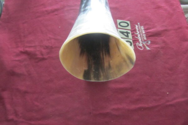 6540 Extra Large Cup Horn - Right